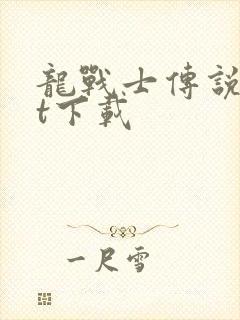 龙战士传说txt下载