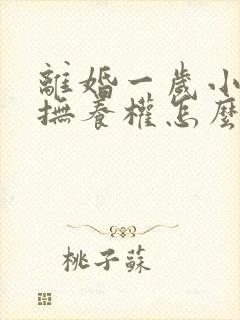 离婚一岁小孩子抚养权怎么判定封面