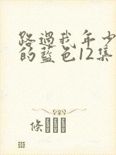 路过我年少时光的蓝色12集免费观看封面