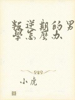 叛逆期的男孩厌学怎么办