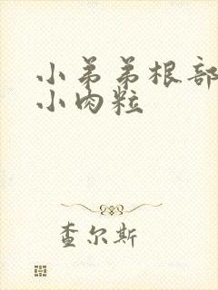 小弟弟根部有个小肉粒