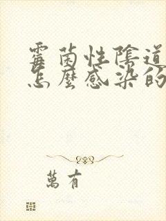 霉菌性阴道发炎怎么感染的封面