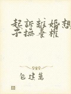 起诉离婚想要孩子抚养权