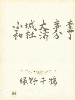 小城大事李秋萍和杜涛分了吗