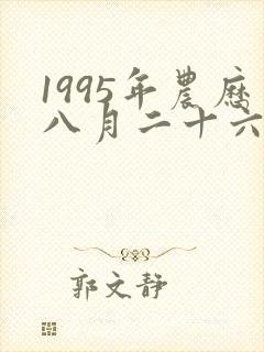 1995年农历八月二十六是什么命