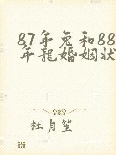 87年兔和88年龙婚姻状况
