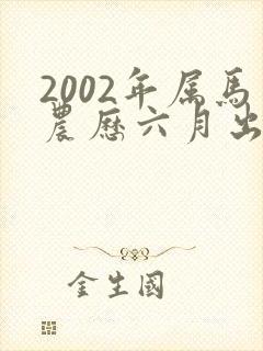 2002年属马农历六月出生命运