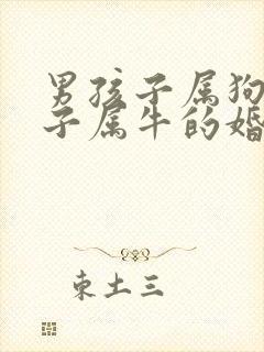 男孩子属狗女孩子属牛的婚姻配吗