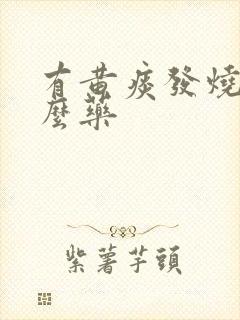 有黄痰发烧吃什么药