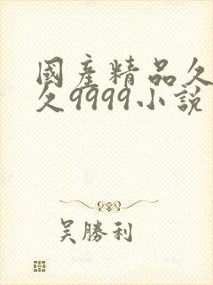 国产精品久久久久9999小说