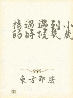 杨过遇到小龙女的时候几岁