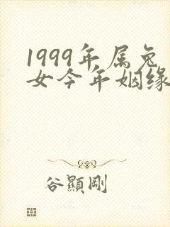 1999年属兔女今年姻缘怎么样