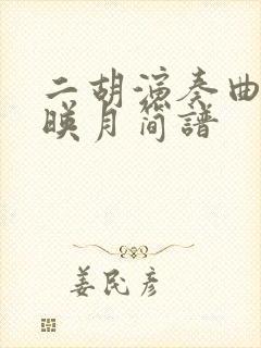 二胡演奏曲二泉映月简谱封面