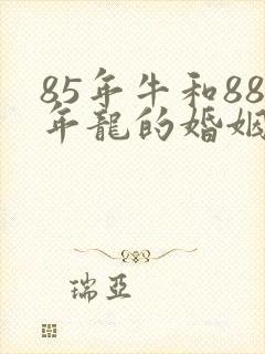 85年牛和88年龙的婚姻