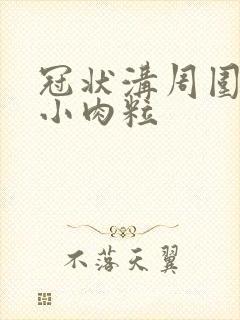 冠状沟周围长有小肉粒封面