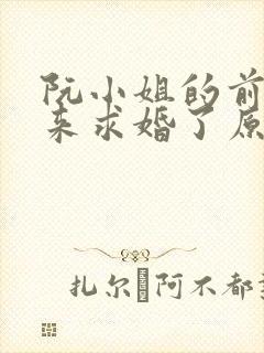 阮小姐的前夫又来求婚了原著小说