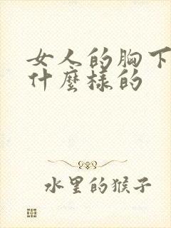 女人的胸下垂是什么样的封面