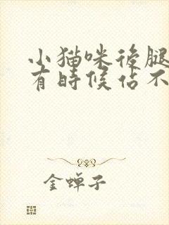 小猫咪后腿无力有时候站不稳