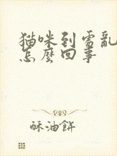 猫咪到处乱尿是怎么回事封面