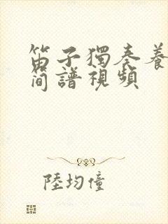 笛子独奏养心曲简谱视频