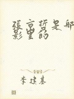 张京哲是哪部电影里的