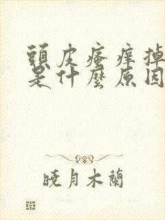 头皮瘙痒掉头发是什么原因引起的