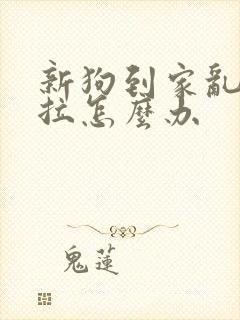 新狗到家乱尿乱拉怎么办