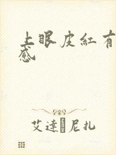 上眼皮红有刺痛感