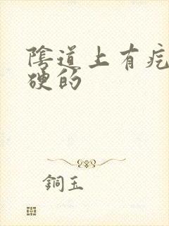 阴道上有疙瘩硬硬的