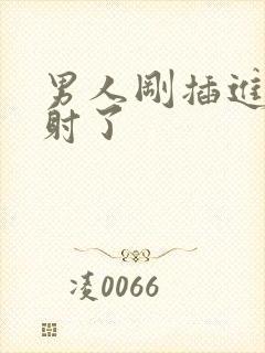 男人刚插进去就射了