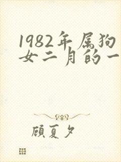 1982年属狗女二月的一生命运
