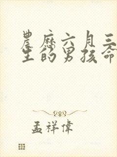 农历六月三十出生的男孩命运