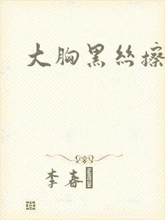 大胸黑丝擦边封面