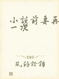 小说前妻再嫁我一次封面