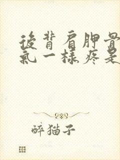 后背肩胛骨跟岔气一样疼是怎么了封面