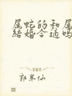 属蛇的和属马的结婚合适吗封面