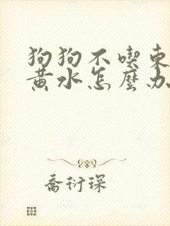 狗狗不吃东西吐黄水怎么办封面