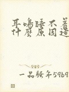 耳鸣睡不着觉是什么原因造成的封面