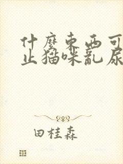 什么东西可以防止猫咪乱尿