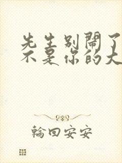 先生别闹了新娘不是你的大结局