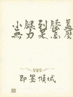 小腿到膝盖酸软无力是怎么回事封面