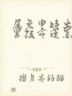 属兔申时出生的男孩命运怎么样