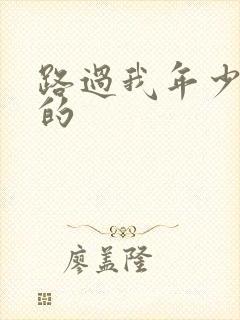 路过我年少时光的封面