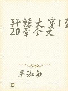 轩辕大宝1至720章全文