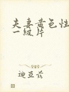 夫妻黄色性生活一级片