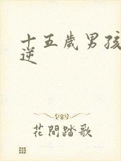 十五岁男孩子叛逆