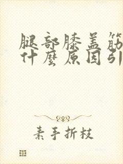 腿部膝盖筋疼是什么原因引起的封面