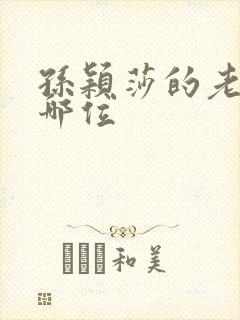 孙颖莎的老公是哪位