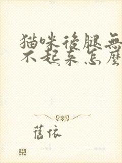 猫咪后腿无力站不起来怎么回事封面