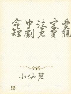 命中注定爱上你短剧免费观看全集